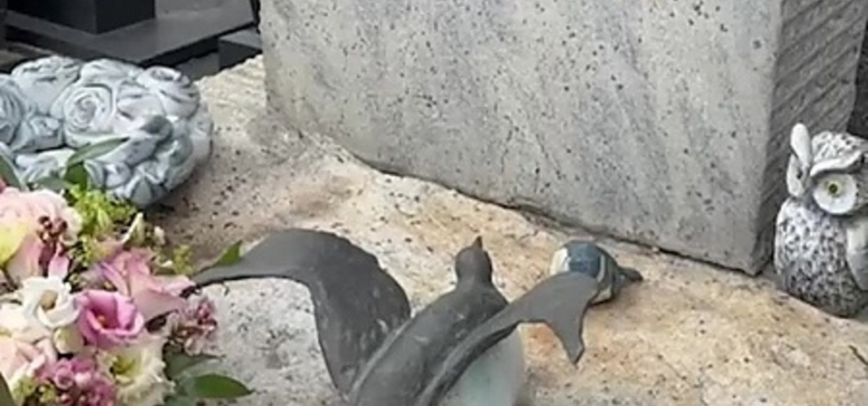 Beelden van kindermisbruik gevonden in cel kindermoordenaar Marc Dutroux