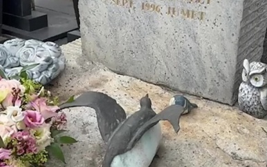 Beelden van kindermisbruik gevonden in cel kindermoordenaar Marc Dutroux