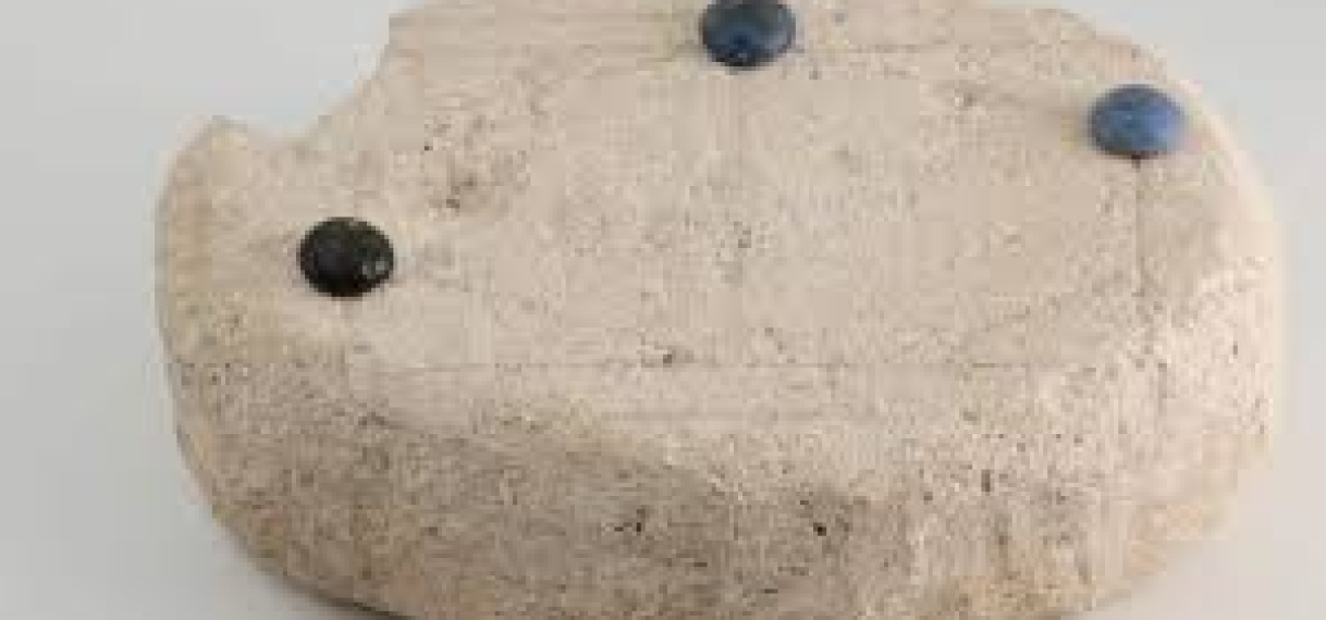 AI ontdekt niet alleen bordspel met Romeinse steen, maar ook spelregels