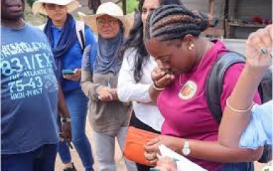 DOAB en LVV onderzoeken melding van cassaveziekte in Marowijne