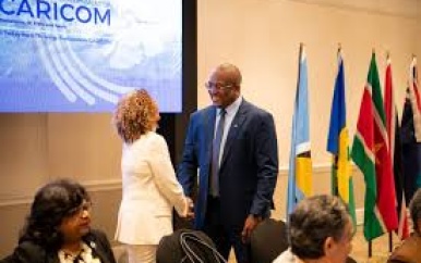 Minister Bouva aanwezig bij 16th Special Meeting of the Community Council