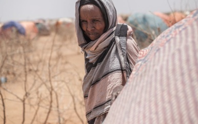 Meteorologen: aarde slaat recordhoeveelheid warmte op en gevolgen nog eeuwen merkbaar