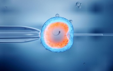 Ex-gynaecoloog gebruikte eigen zaad en verwekte minstens zestien kinderen