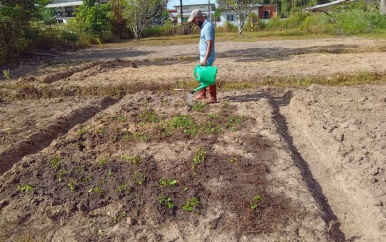 Grascollectie op LVV-ressort Wanica D officieel van start