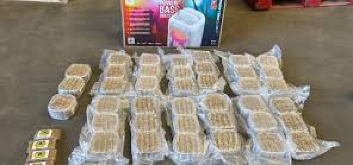 Bijna 20 kilo hasj onderschept in container met bestemming Suriname