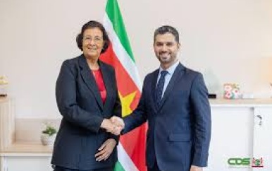 President Simons bespreekt digitale transformatie met bedrijf uit VAE