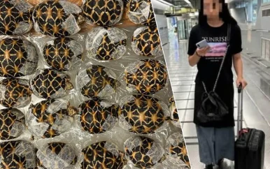 Vrouw betrapt met 30 schildpadden onder kleding op luchthaven