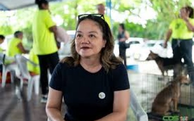 Sterilisatieproject moet overpopulatie honden en katten tegengaan