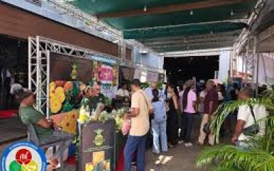 EZOTI zet mkmo’s in de schijnwerpers met SURGE-event