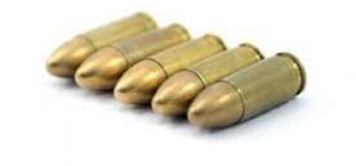 RBTP houdt vreemdeling met scherpe patronen aan