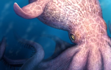 Gigantische ‘kraken’ heerste miljoenen jaren geleden in zee