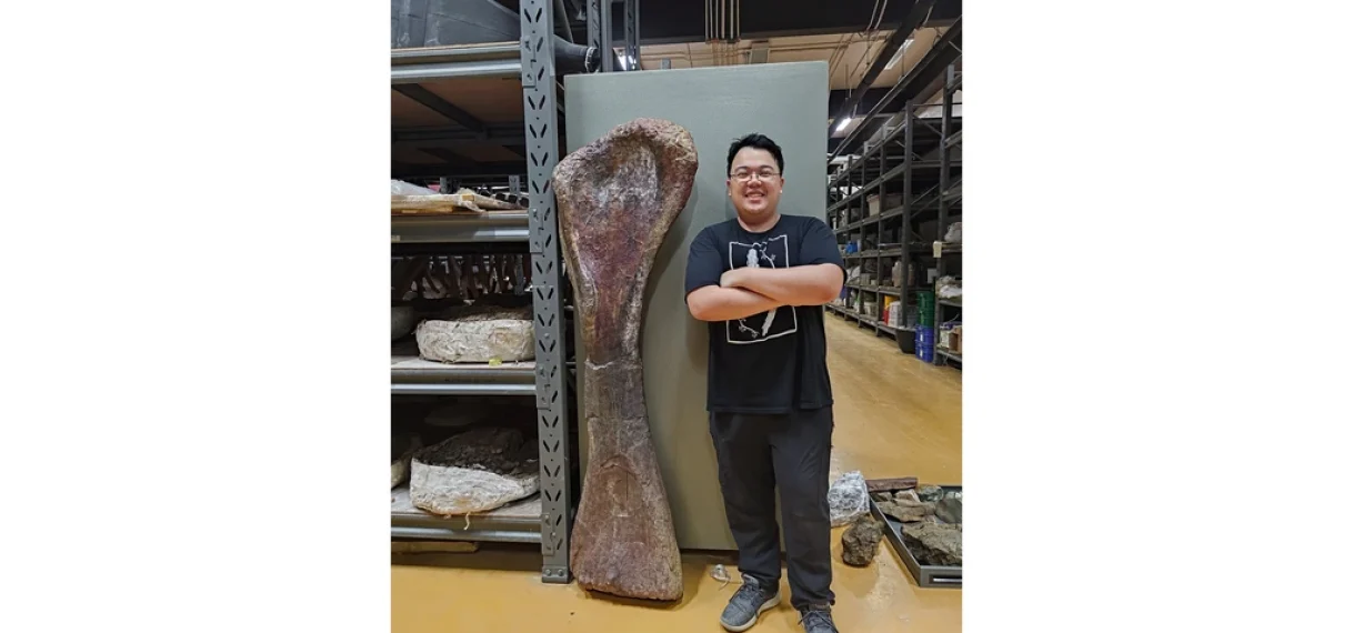 Gigantische dinosaurus ontdekt in Thailand, grootste ooit in Zuidoost-Azië