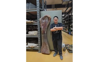 Gigantische dinosaurus ontdekt in Thailand, grootste ooit in Zuidoost-Azië