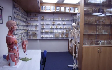 Tasmanië biedt excuses aan voor tentoonstellen lichaamsdelen