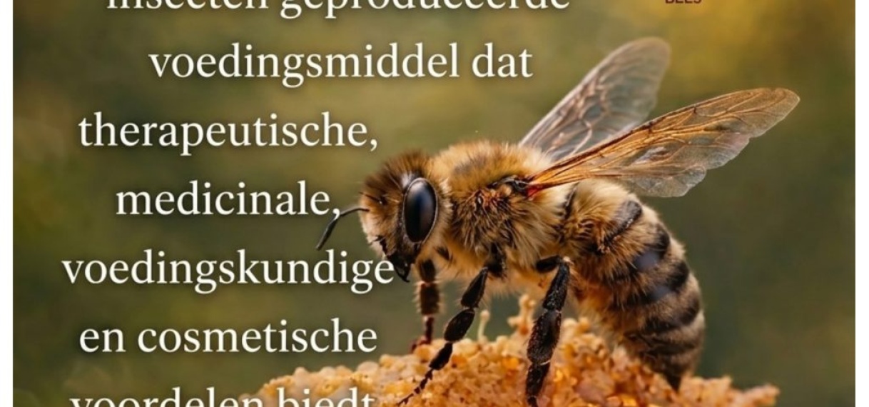 20 mei Wereld Bijendag: LVV vraagt aandacht voor bescherming van bijen