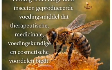 20 mei Wereld Bijendag: LVV vraagt aandacht voor bescherming van bijen