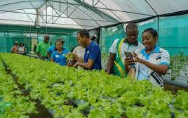 Suriname en Barbados willen agrarische samenwerking verder uitbreiden