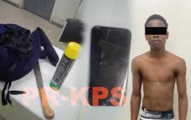 Verdachte van mishandeling poes aangehouden