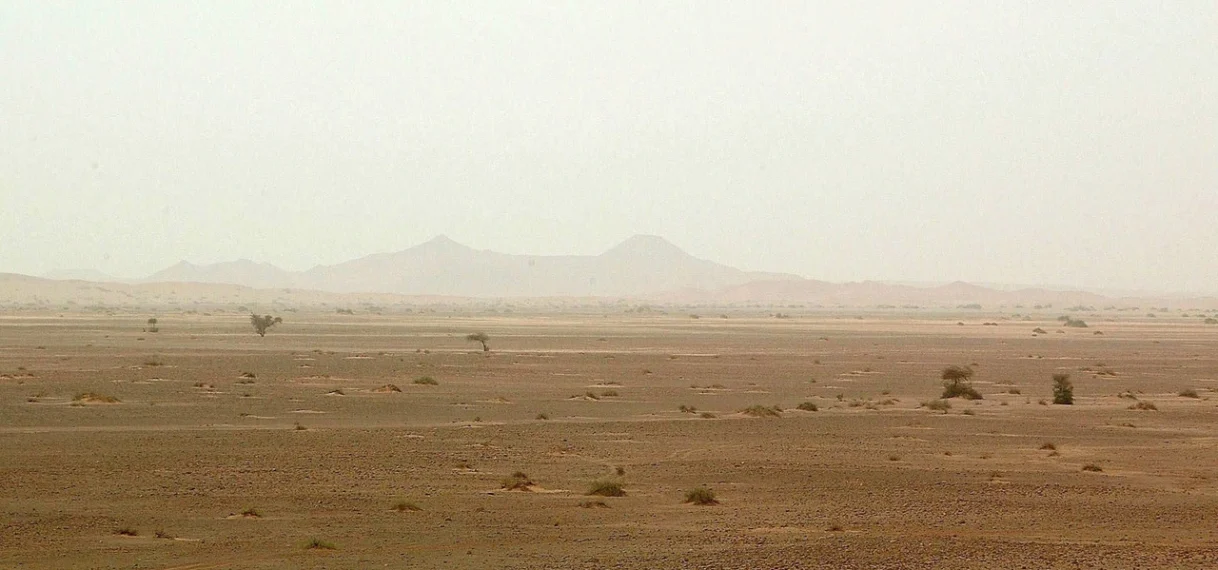 Tientallen reizigers sterven van dorst in Sahara