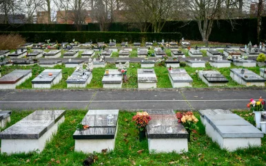 21 lichamen zonder toestemming verplaatst op begraafplaats Dordrecht