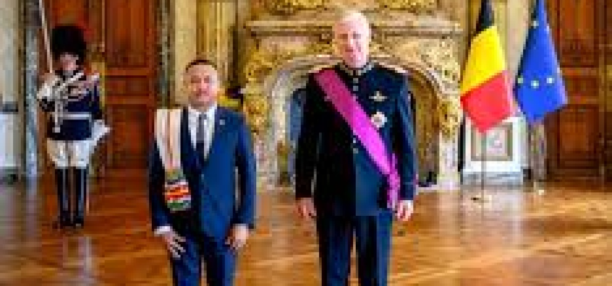 Ambassadeur Armaketo overhandigt geloofsbrieven aan de Koning van België