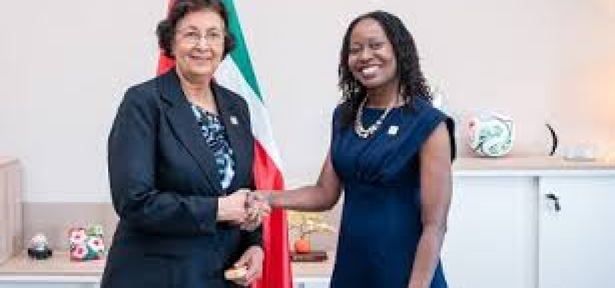 CDEMA-directeur bespreekt rampenweerbaarheid met president Simons