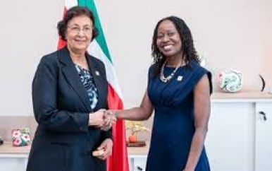CDEMA-directeur bespreekt rampenweerbaarheid met president Simons