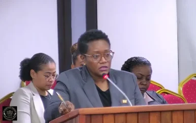 Minister Wijnerman pleit voor geleidelijke afbouw brandstofsubsidie