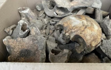 Duits gezin vindt honderden menselijke botten in tuin