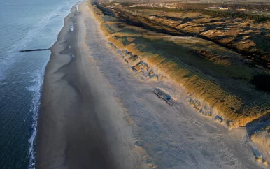 Aangespoelde lichaamsdelen op Texel geïdentificeerd