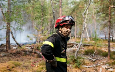 UPDATE: Twee 18-jarigen aangeklaagd na natuurbrand Fontainebleau