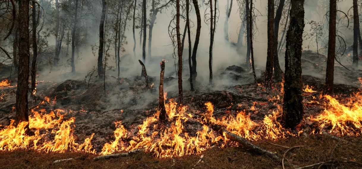 UPDATE: Natuurbrand bij Parijs nog niet onder controle: grootste in decennia