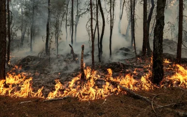 UPDATE: Natuurbrand bij Parijs nog niet onder controle: grootste in decennia