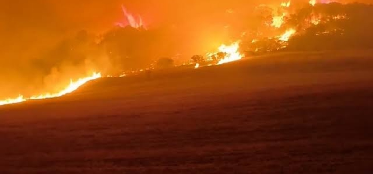 Hitte en droogte veroorzaken grote bosbranden in Noord-Afrika