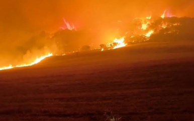 Hitte en droogte veroorzaken grote bosbranden in Noord-Afrika