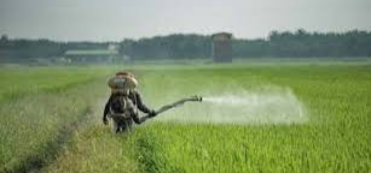 Dharm Mungra: Suriname behoort tot grootste importeurs van pesticiden in Zuid-Amerika