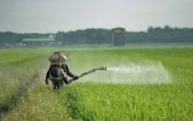 Dharm Mungra: Suriname behoort tot grootste importeurs van pesticiden in Zuid-Amerika