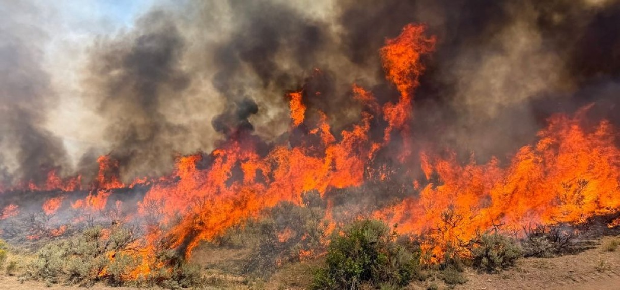 Twee helikopterpiloten omgekomen bij bosbrand in Utah