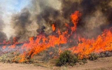 Twee helikopterpiloten omgekomen bij bosbrand in Utah