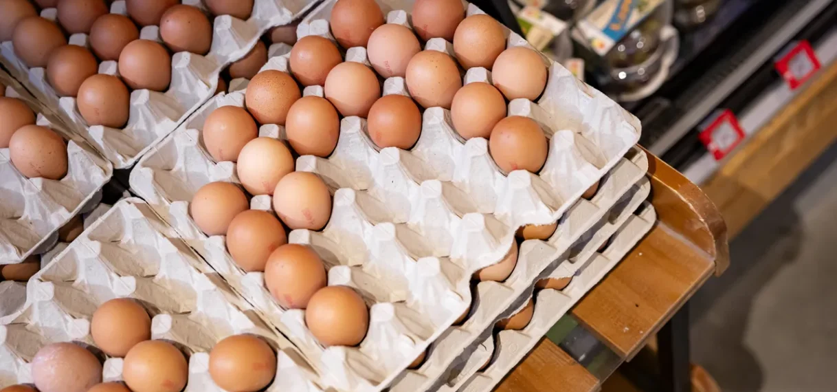 Honderden zieken door salmonella-uitbraak in België