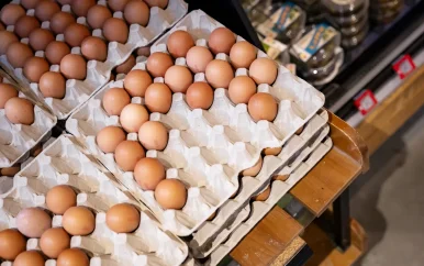Honderden zieken door salmonella-uitbraak in België