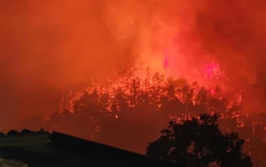 Ruim 200 mensen geëvacueerd door bosbrand bij Gardameer