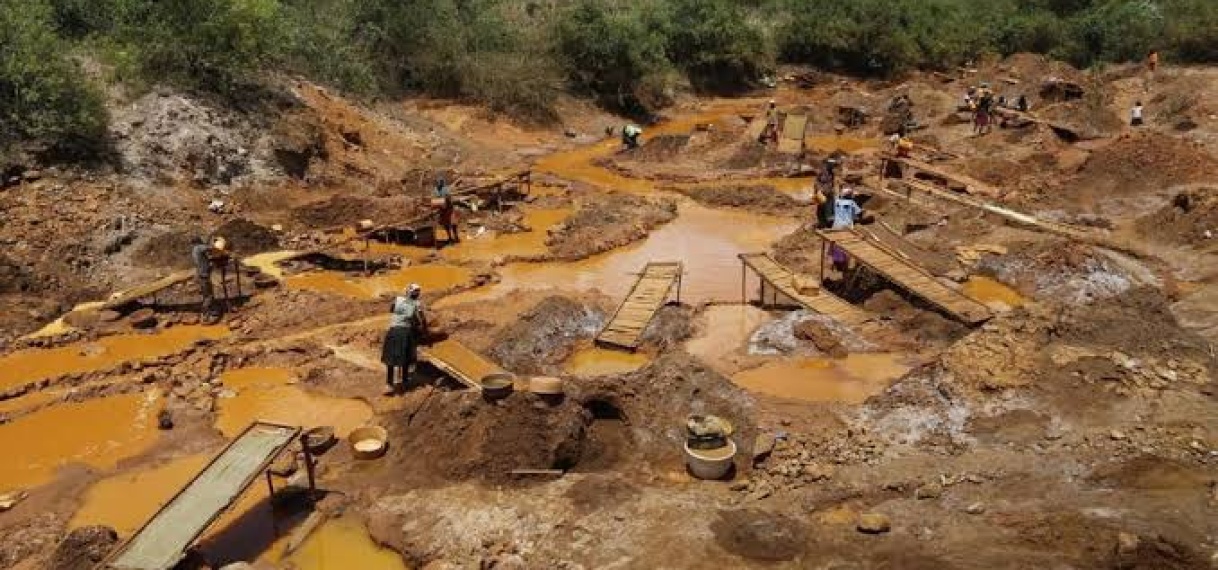 Goudkoorts in Kenia