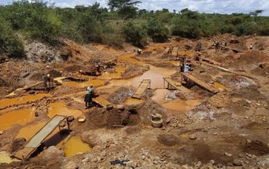 Goudkoorts in Kenia