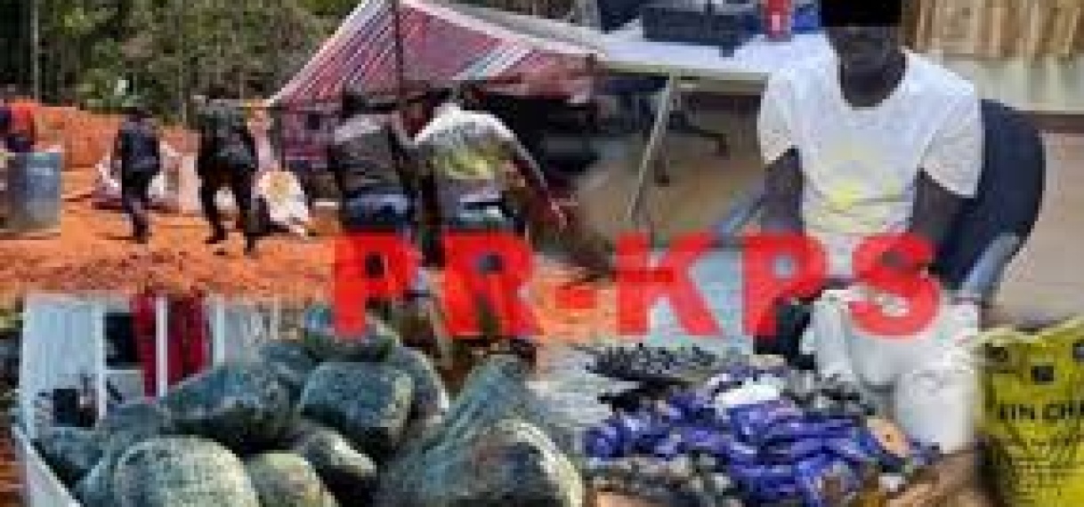 Meer dan 200 illegale kampen ontmanteld bij Moeroekreek