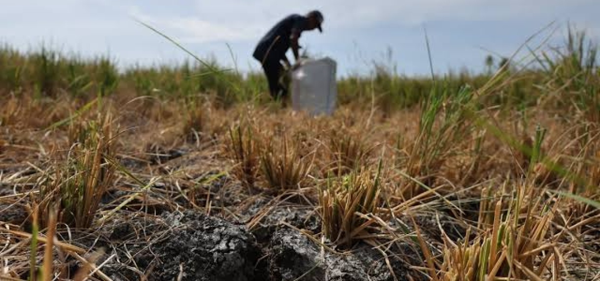 El Niño kan sterkste worden in veertig jaar