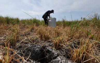 El Niño kan sterkste worden in veertig jaar