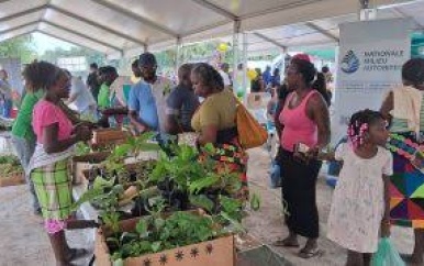 LVV zet in op duurzame landbouwontwikkeling in Boven-Surinamegebied