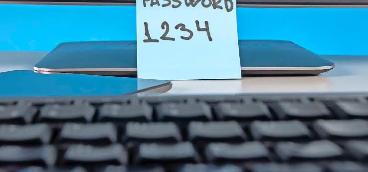 Wachtwoord 123456 gaf toegang tot gegevens van miljoenen Denen