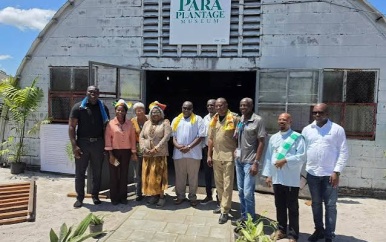 Para Plantage Museum geopend: nieuwe impuls voor historisch toerisme